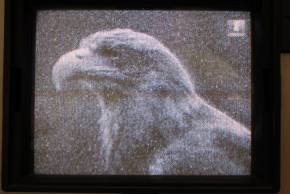 image009